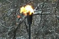 Факел садовый январь 2012 (197221) производство ø 65 мм. ветроустойчивая  в Челябинске