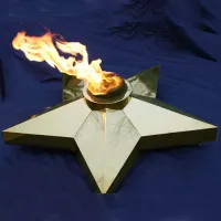 Звезда (газовая горелка) (1636) производство комплект горелка ГВД 379 10 89 00 ПС - ø 1000 мм. ветроустойчивая  в Челябинске