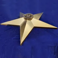 Звезда вечный огонь (1628) поставка комплект горелка ГВД 379 10 89 00 ПС ø 1100 мм. пустотелая  в Челябинске